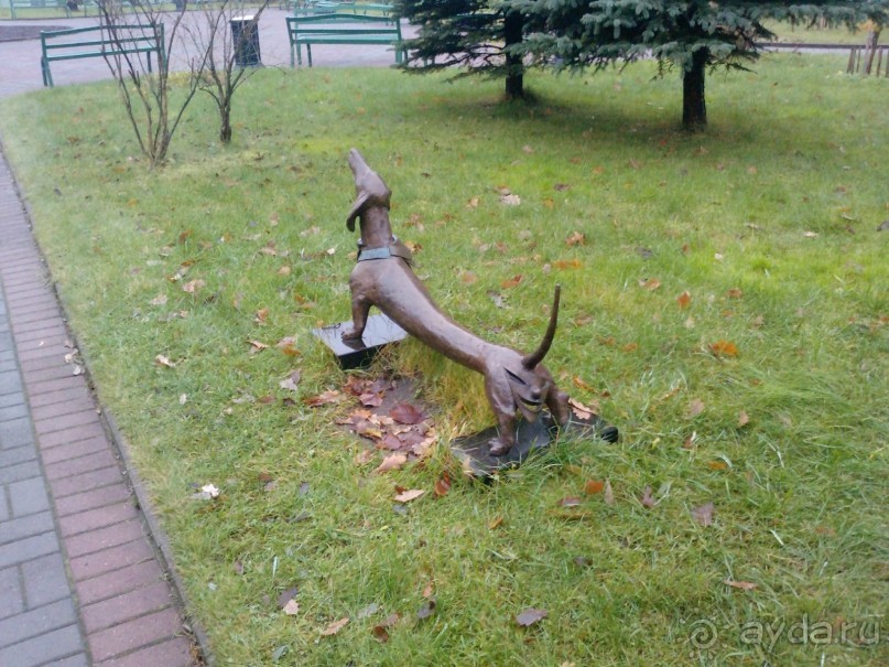 Неформальные памятники в нетуристическом Петербурге.