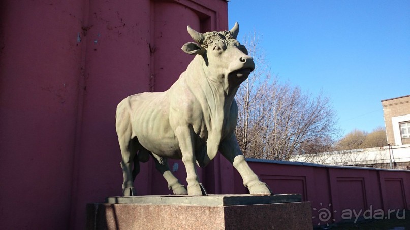 Неформальные памятники в нетуристическом Петербурге.