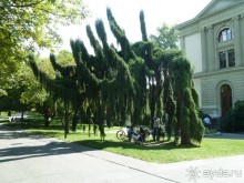 Шамбери, Гренобль, Женева - города Савойского края.