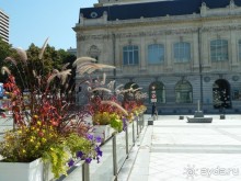 Шамбери, Гренобль, Женева - города Савойского края.