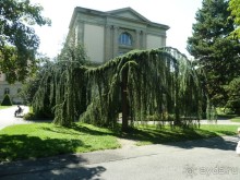 Шамбери, Гренобль, Женева - города Савойского края.