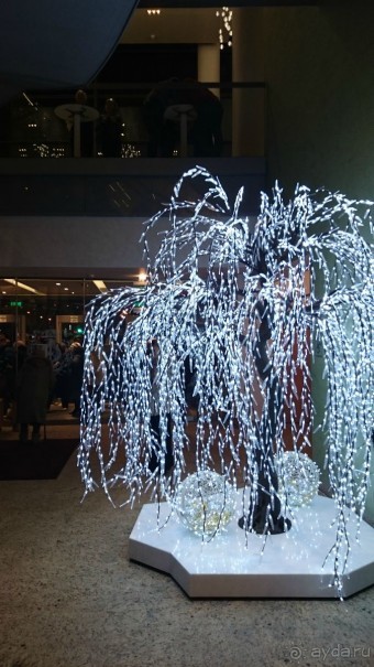 Альбом отзыва "Как встречали Новый 2016 год в Санкт-Петербурге"