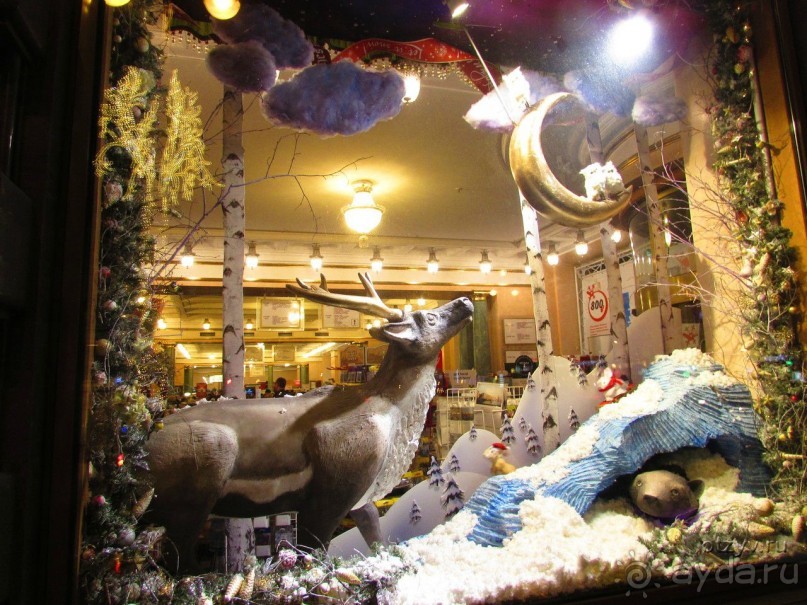 Альбом отзыва "Как встречали Новый 2016 год в Санкт-Петербурге"