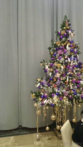 Альбом отзыва "Как встречали Новый 2016 год в Санкт-Петербурге"