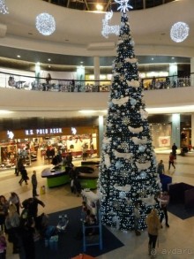 Альбом отзыва "Как встречали Новый 2016 год в Санкт-Петербурге"