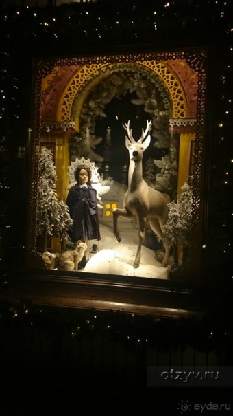 Как встречали Новый 2016 год в Санкт-Петербурге