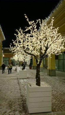 Альбом отзыва "Как встречали Новый 2016 год в Санкт-Петербурге"