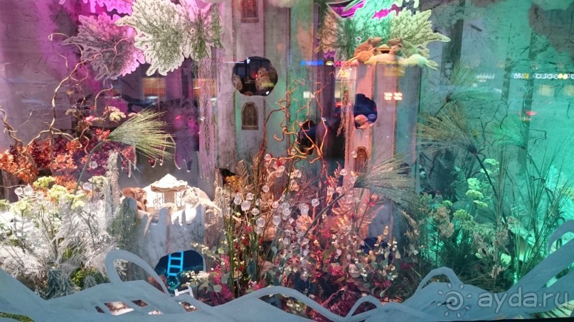 Как встречали Новый 2016 год в Санкт-Петербурге