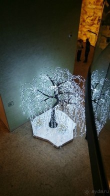 Альбом отзыва "Как встречали Новый 2016 год в Санкт-Петербурге"