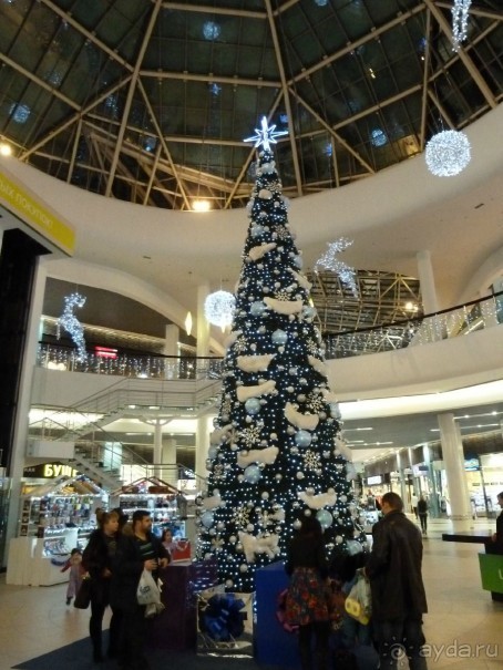 Альбом отзыва "Как встречали Новый 2016 год в Санкт-Петербурге"