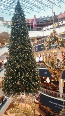 Альбом отзыва "Как встречали Новый 2016 год в Санкт-Петербурге"