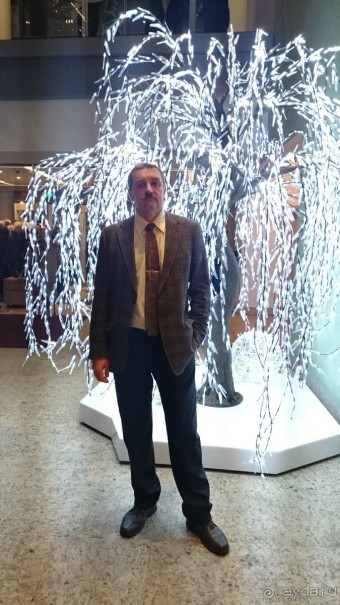 Как встречали Новый 2016 год в Санкт-Петербурге