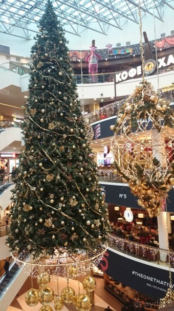 Как встречали Новый 2016 год в Санкт-Петербурге