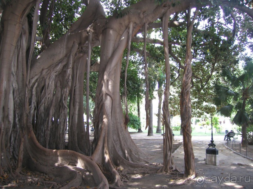 Автобусный тур по Италии и острову Сицилия