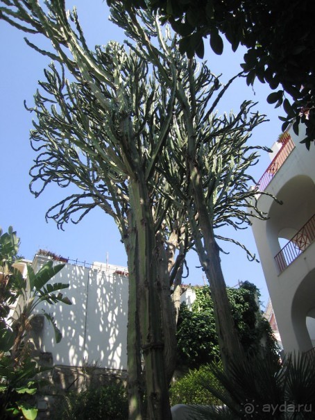 Автобусный тур по Италии и острову Сицилия