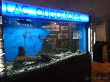 Анси.Современный средневековый курорт  для любознательных  романтиков. 