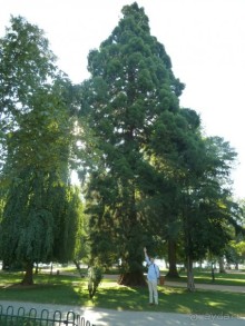 Анси.Современный средневековый курорт  для любознательных  романтиков. 