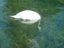 Анси.Современный средневековый курорт  для любознательных  романтиков. 