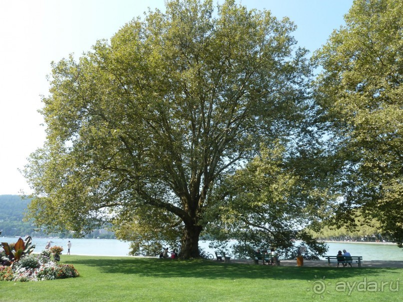 Анси.Современный средневековый курорт  для любознательных  романтиков. 