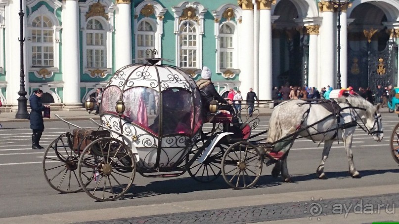 Как летом  осмотреть Петербург с земли, воды и воздуха. Советы самостоятельным туристам.