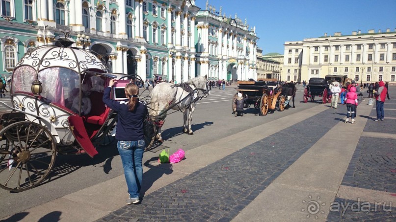 Как летом  осмотреть Петербург с земли, воды и воздуха. Советы самостоятельным туристам.