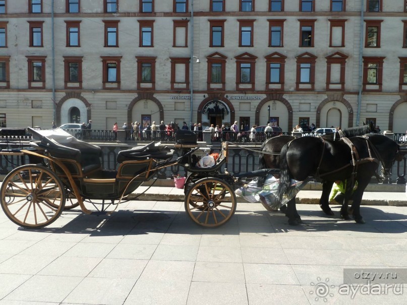 Как летом  осмотреть Петербург с земли, воды и воздуха. Советы самостоятельным туристам.