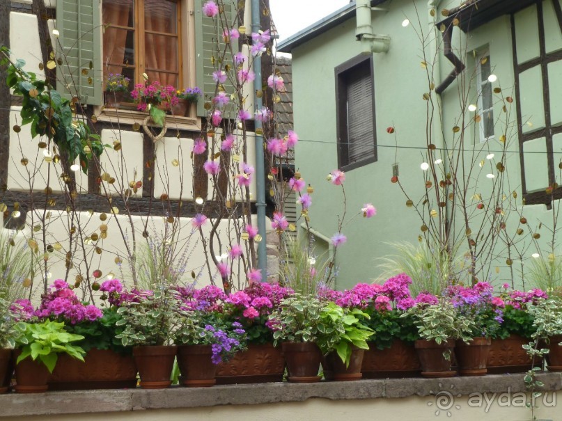 Эльзасские окрестности. Самая красивая деревня Европы - Рибовиль.