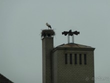 Эльзасские окрестности. Самая красивая деревня Европы - Рибовиль.