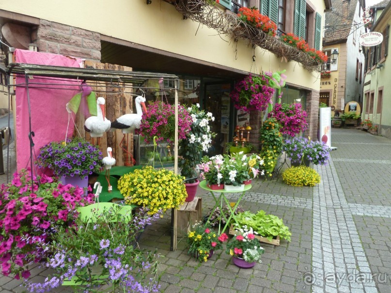 Эльзасские окрестности. Самая красивая деревня Европы - Рибовиль. Эльзасские окрестности. Самая красивая деревня Европы - Рибовиль.