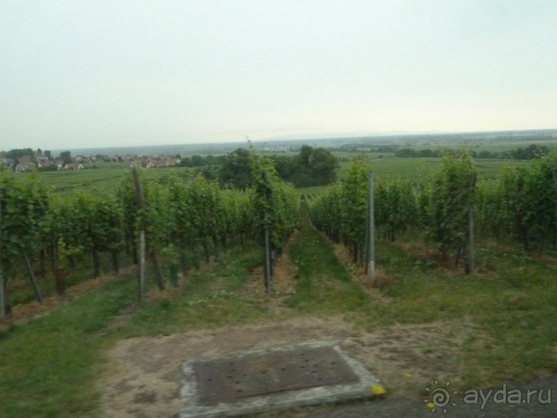 Эльзасские окрестности. Самая красивая деревня Европы - Рибовиль. Эльзасские окрестности. Самая красивая деревня Европы - Рибовиль.