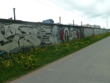 Петербургский стрит-арт. На улицах, во дворах и в музее.