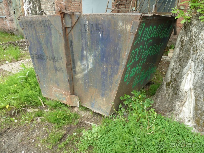 Петербургский стрит-арт. На улицах, во дворах и в музее.