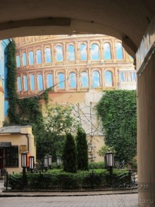 Петербургский стрит-арт. На улицах, во дворах и в музее.