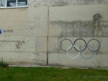 Альбом отзыва "Петербургский стрит-арт. На улицах, во дворах и в музее."