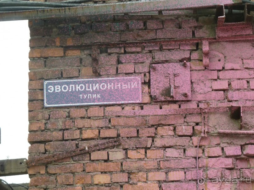 Петербургский стрит-арт. На улицах, во дворах и в музее.