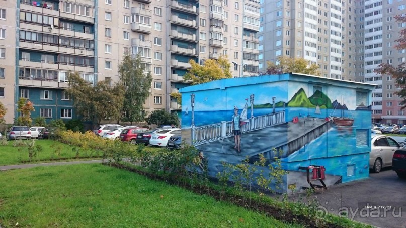 Петербургский стрит-арт. На улицах, во дворах и в музее.