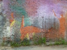 Петербургский стрит-арт. На улицах, во дворах и в музее.