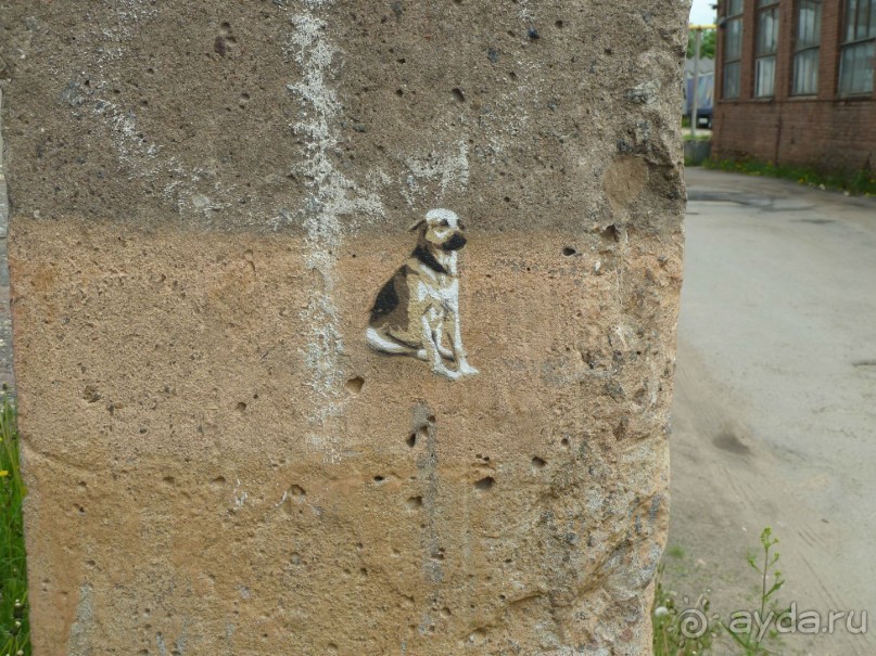 Петербургский стрит-арт. На улицах, во дворах и в музее.