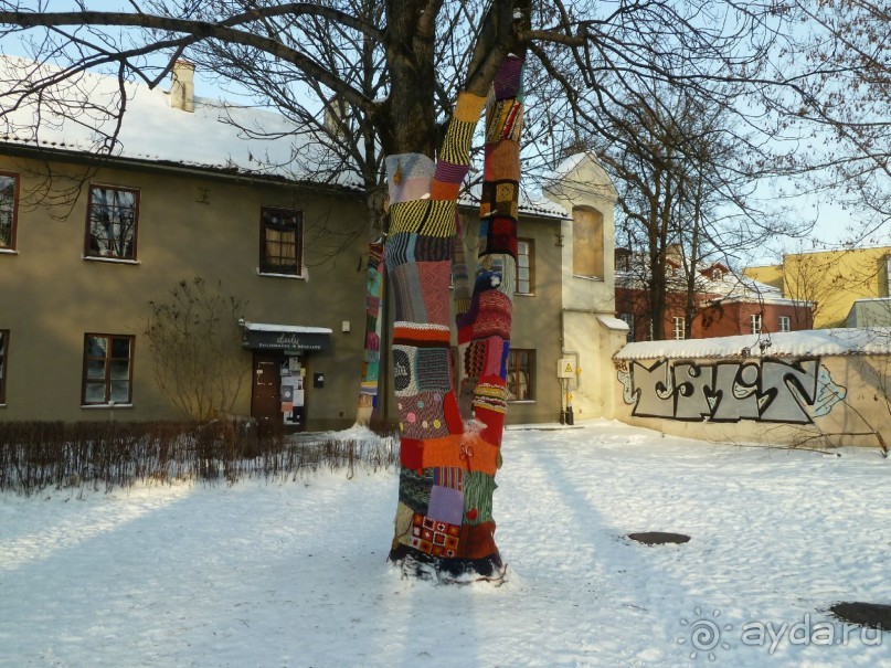 Петербургский стрит-арт. На улицах, во дворах и в музее.