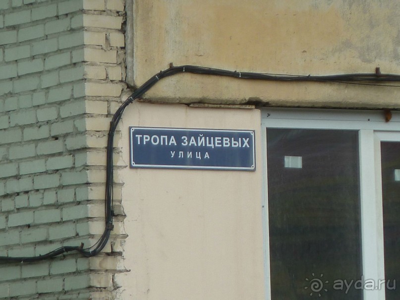 Петербургский стрит-арт. На улицах, во дворах и в музее.