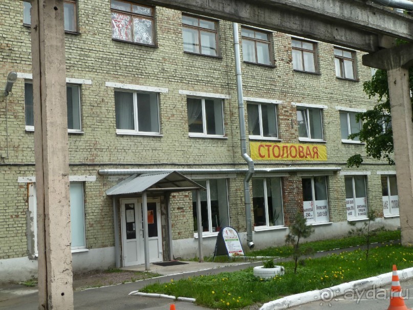 Петербургский стрит-арт. На улицах, во дворах и в музее.