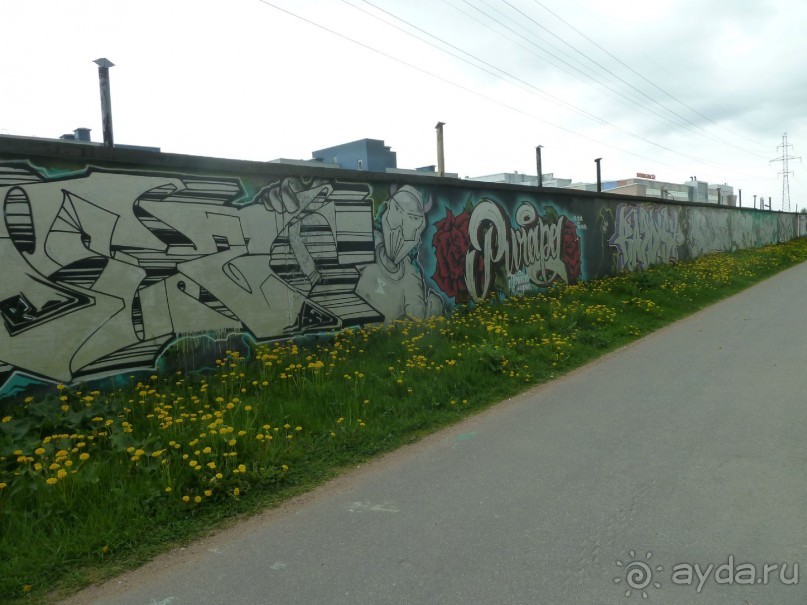 Петербургский стрит-арт. На улицах, во дворах и в музее.