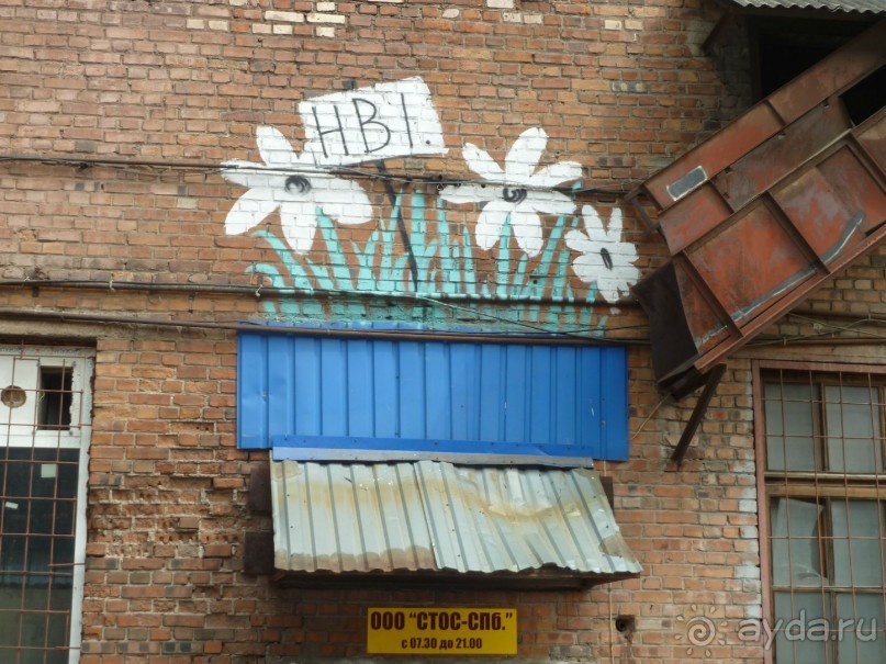 Петербургский стрит-арт. На улицах, во дворах и в музее.