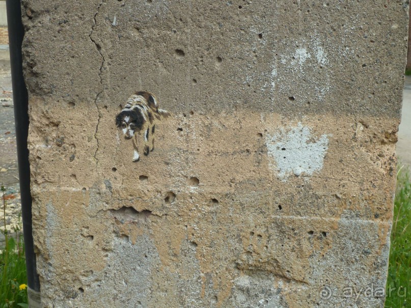 Петербургский стрит-арт. На улицах, во дворах и в музее.