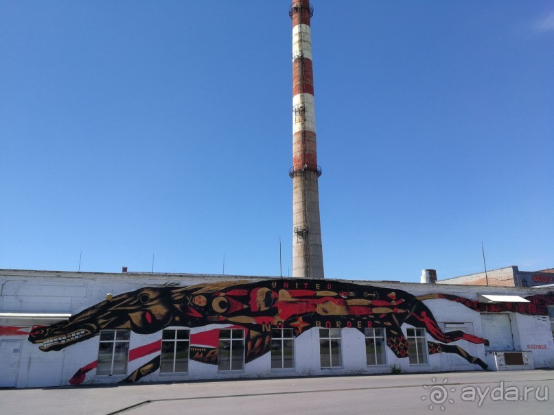 Петербургский стрит-арт. На улицах, во дворах и в музее.