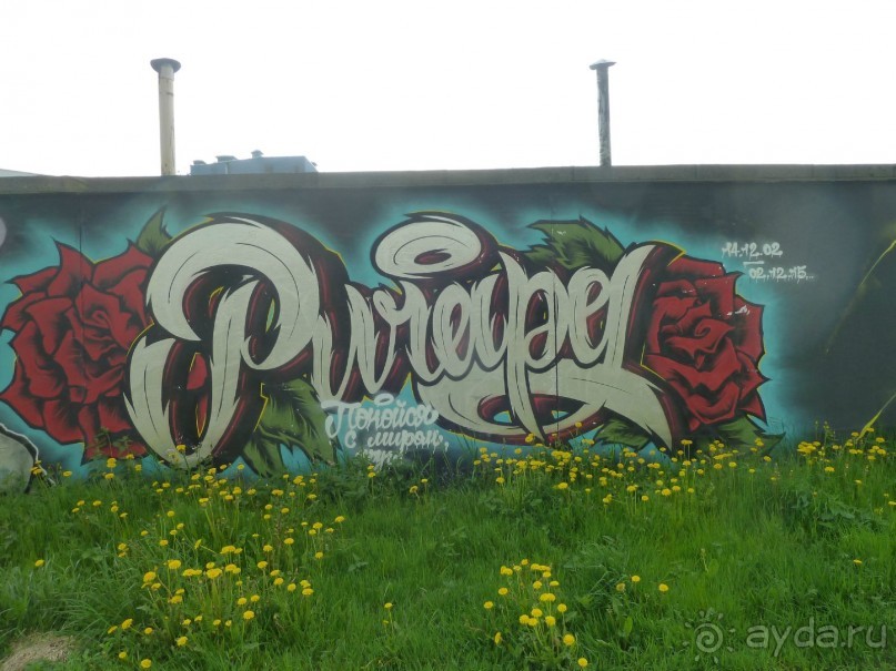 Петербургский стрит-арт. На улицах, во дворах и в музее.