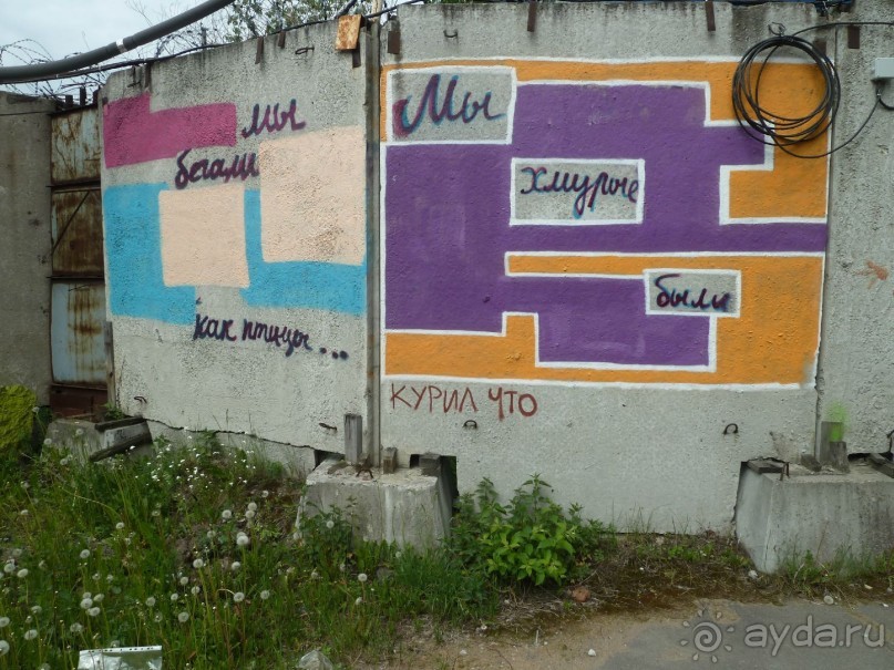 Петербургский стрит-арт. На улицах, во дворах и в музее.