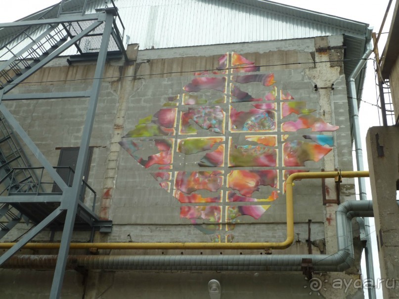 Петербургский стрит-арт. На улицах, во дворах и в музее.