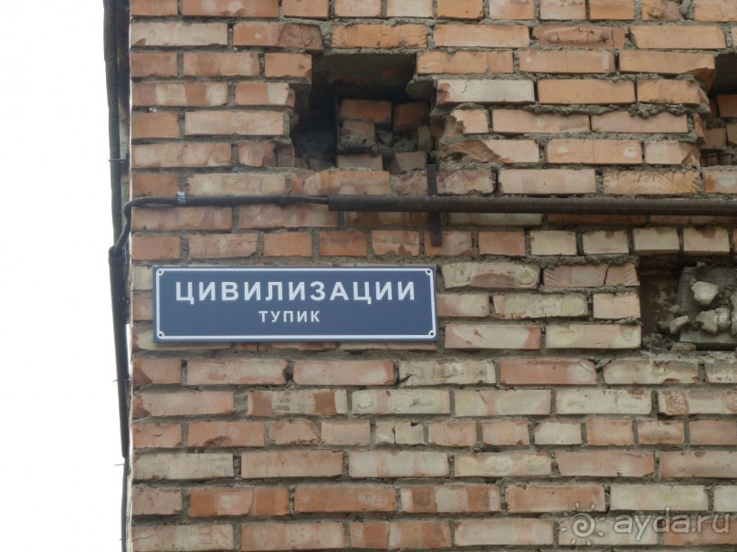 Петербургский стрит-арт. На улицах, во дворах и в музее.