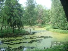 Жаркий день в Гатчине - для настойчивых туристов.